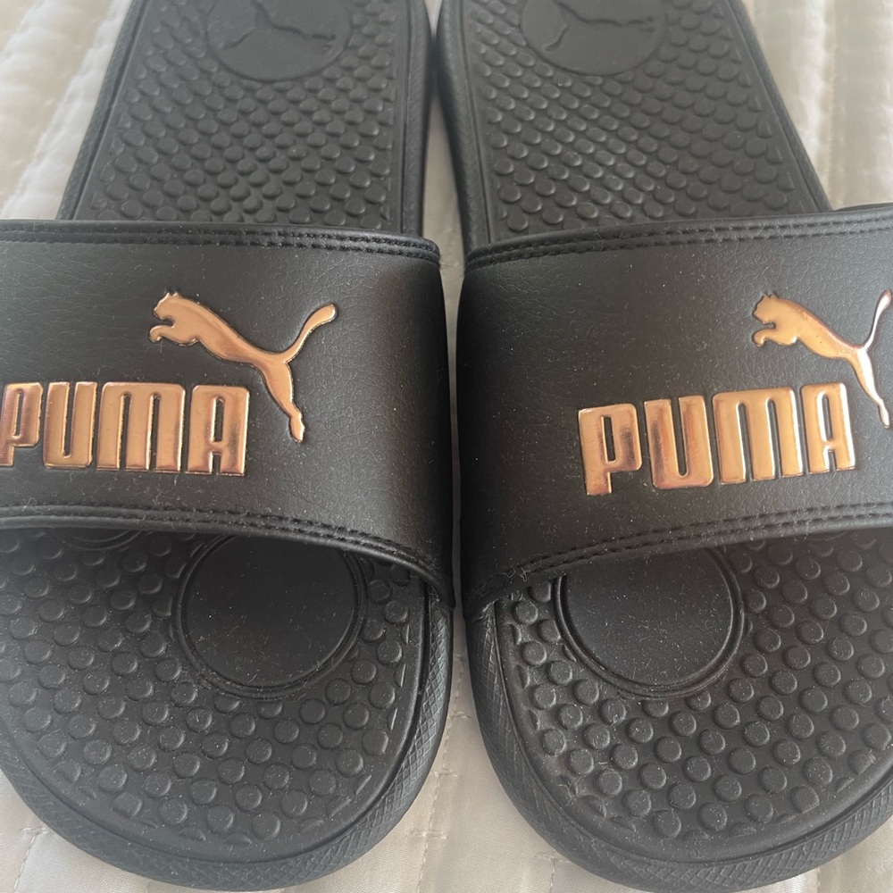 PUMA